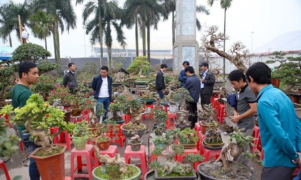 Ngày Tết Việt Nam Có Ý Nghĩa Gì Giải Nghĩa Câu Hỏi Nhiều Người Quan Tâm 3 tết