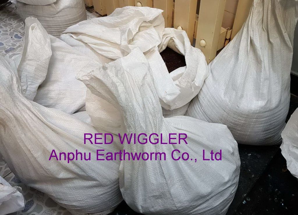 Red Wigglers Composting Worm Bag of 10kg with over 1000 worms 3 Red Wigglers