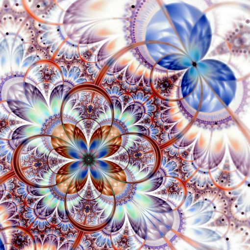 CG_065 CG_065