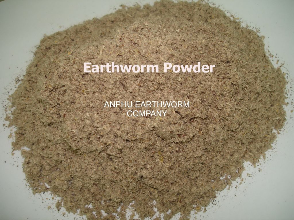 Effective of Earthworm in aquaculture development 2
