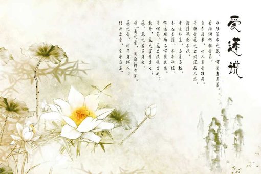Human_61619 MẪU - Human_61619