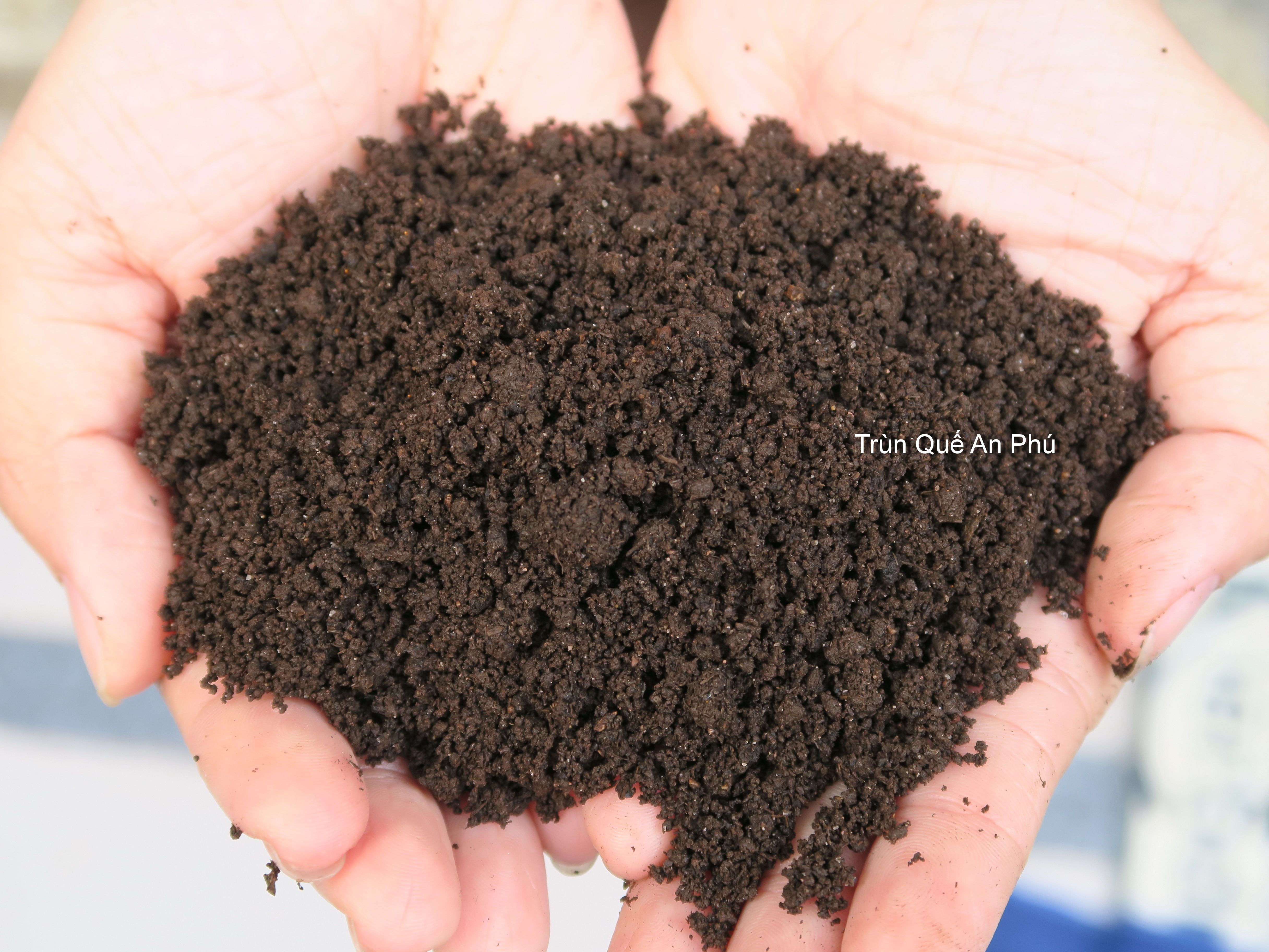 Role of earthworm on earth | Earthworm Vietnam 2