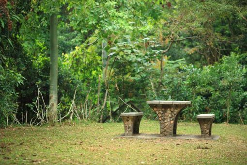 VAD_NATURE01182 MẪU - VAD_NATURE01182