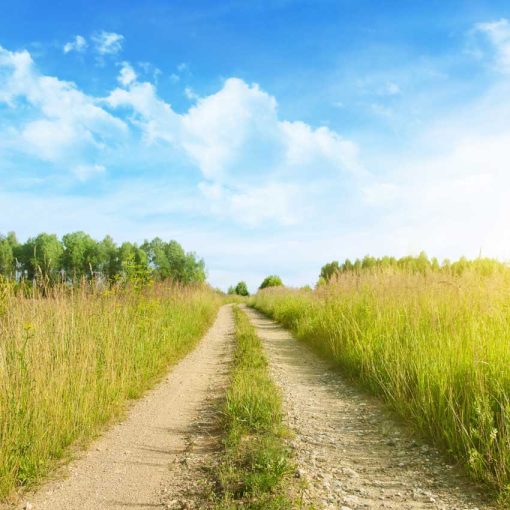 VAD_NATURE01187 MẪU - VAD_NATURE01187