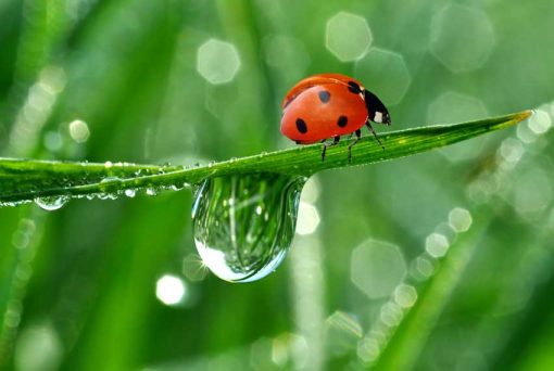 VAD_NATURE01348 MẪU - VAD_NATURE01348
